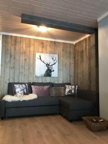 Kvamseter Lodge - Mountain Apartments Norheimsund Dış mekan fotoğraf